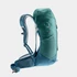 Kép 3/11 - Deuter AC Lite 24 alpinegreen-arctic