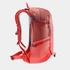 Kép 3/12 - Deuter Futura 21 SL caspia-currant