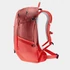 Kép 5/12 - Deuter Futura 21 SL caspia-currant