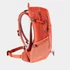 Kép 3/11 - Deuter Futura 21 SL paprika-sienna