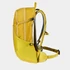 Kép 4/11 - Deuter Futura 23 turmeric-greencurry